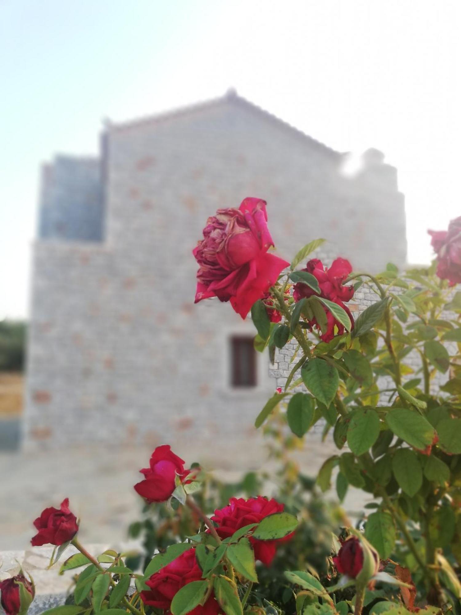 Athevillas Antonis Mína Kültér fotó